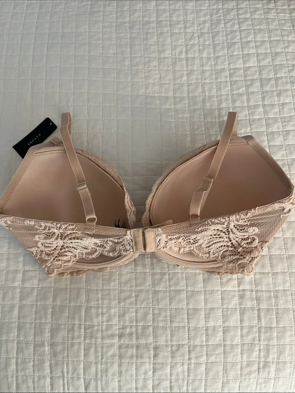 Natori feathers bra